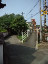 38462-4.jpg