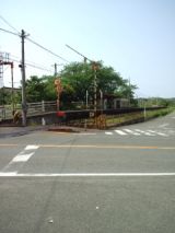 38462-5.jpg