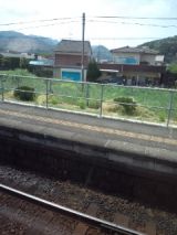 38464.jpg