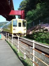 38473.jpg