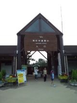 38479-4.jpg