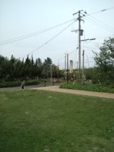 38479-5.jpg