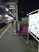 38481-4.jpg