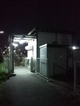 38482-5.jpg