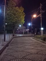 38486-2.jpg