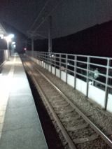 38489-2.jpg