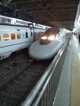 38493.jpg