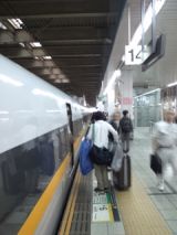 38499.jpg