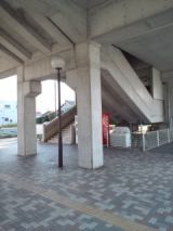 38513-6.jpg