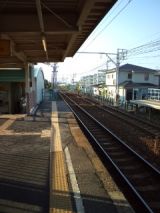 38514-3.jpg