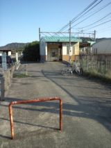38517-1.jpg