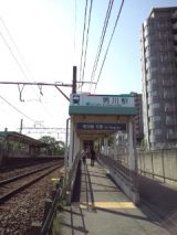 38527-1.jpg