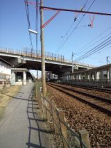 38527-2.jpg