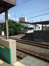 38529-1.jpg
