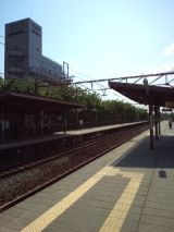 38529-7.jpg