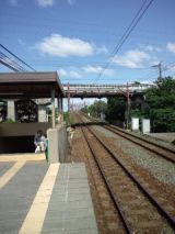 38529-8.jpg