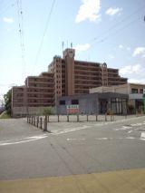 38531-4.jpg