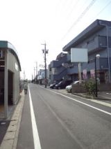 38533-2.jpg