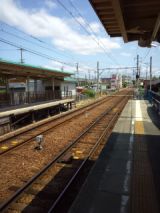 38536-3.jpg