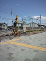38538-3.jpg