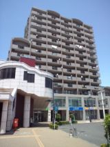 38540-4.jpg