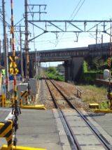 38549-1.jpg