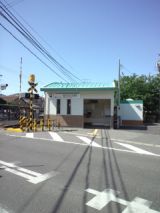38549-2.jpg