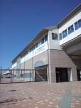 38550-3.jpg