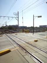 38551-1.jpg