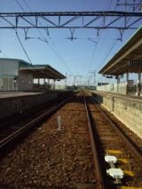 38555-1.jpg