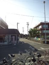 38556-1.jpg