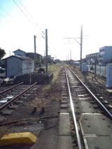 38558.jpg
