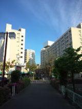 38578-1.jpg