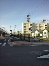 38580-7.jpg