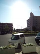 38584-1.jpg