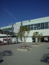 38587-4.jpg
