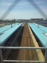 38594-5.jpg