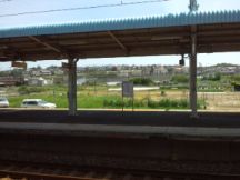 38594-6.jpg