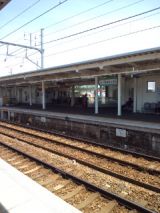38596-1.jpg