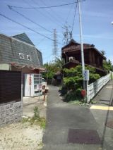38599-3.jpg