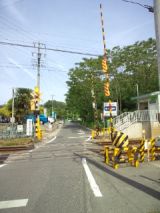 38606-3.jpg