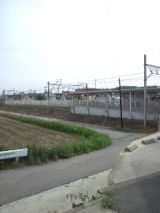 38612-5.jpg
