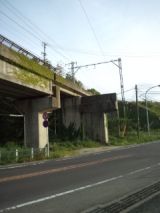 38626-7.jpg