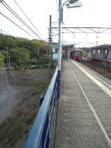 38626.jpg