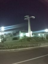 38631-6.jpg