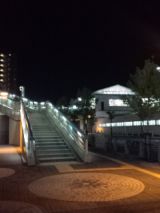 38642-7.jpg