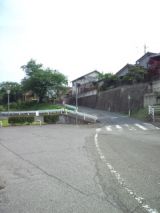 38663-5.jpg