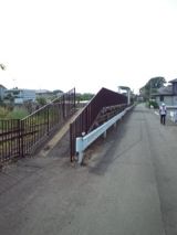 38667-2.jpg