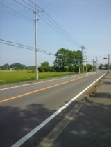 38670-4.jpg