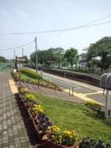 38674-5.jpg